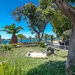 Jadran שיבניק